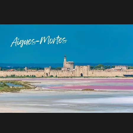 Le Clos Des Papes * Avignon
