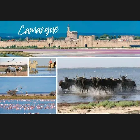 Le Clos Des Papes Avignon